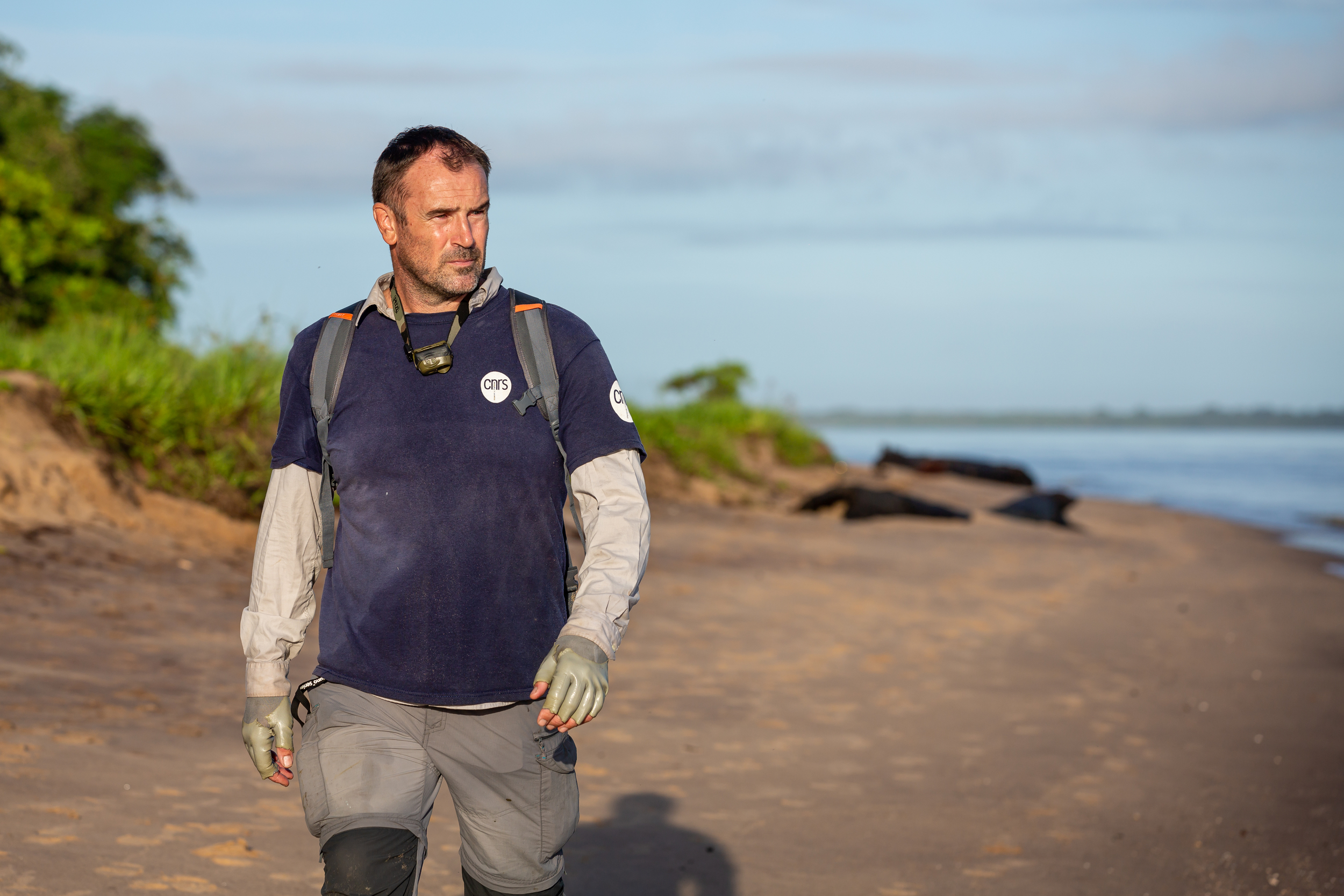 Damien Chevallier from CNRS (National Center for Scientific Research).
on Awala Yalimapo Beach, during a research expedition in French Guiana with Greenpeace.
Mardi 4 juin 2019. Plage d'Awala Yalimapo, Mission tortues de Greenpeace en compagnie de Damien Chevallier, chercheur au CNRS, en mission de recherche sur les tortues.