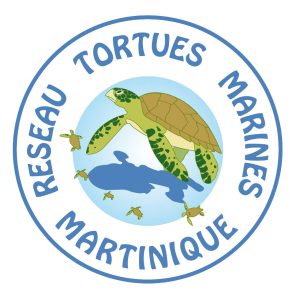RTMM